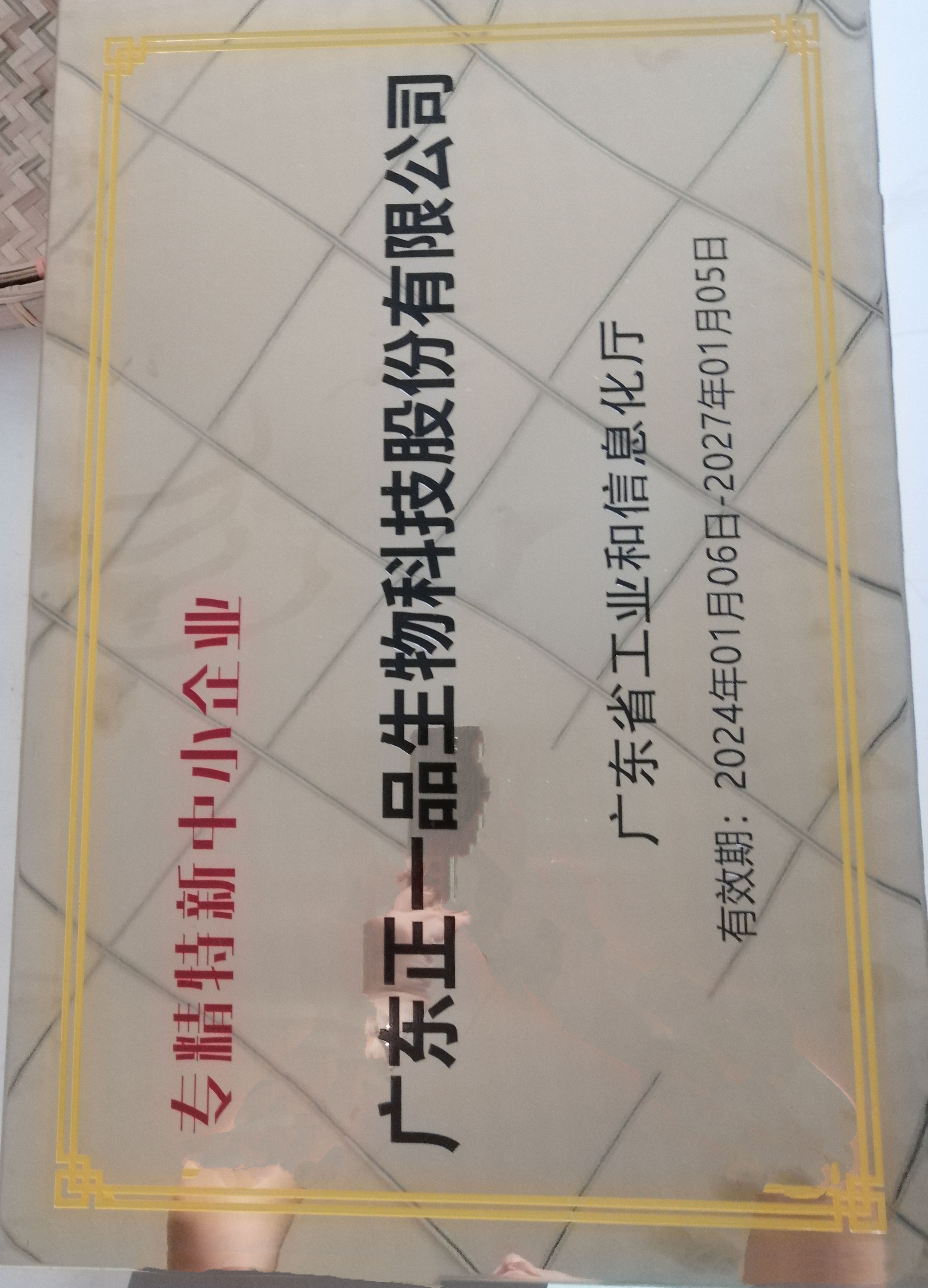 專精特中小企業(yè)